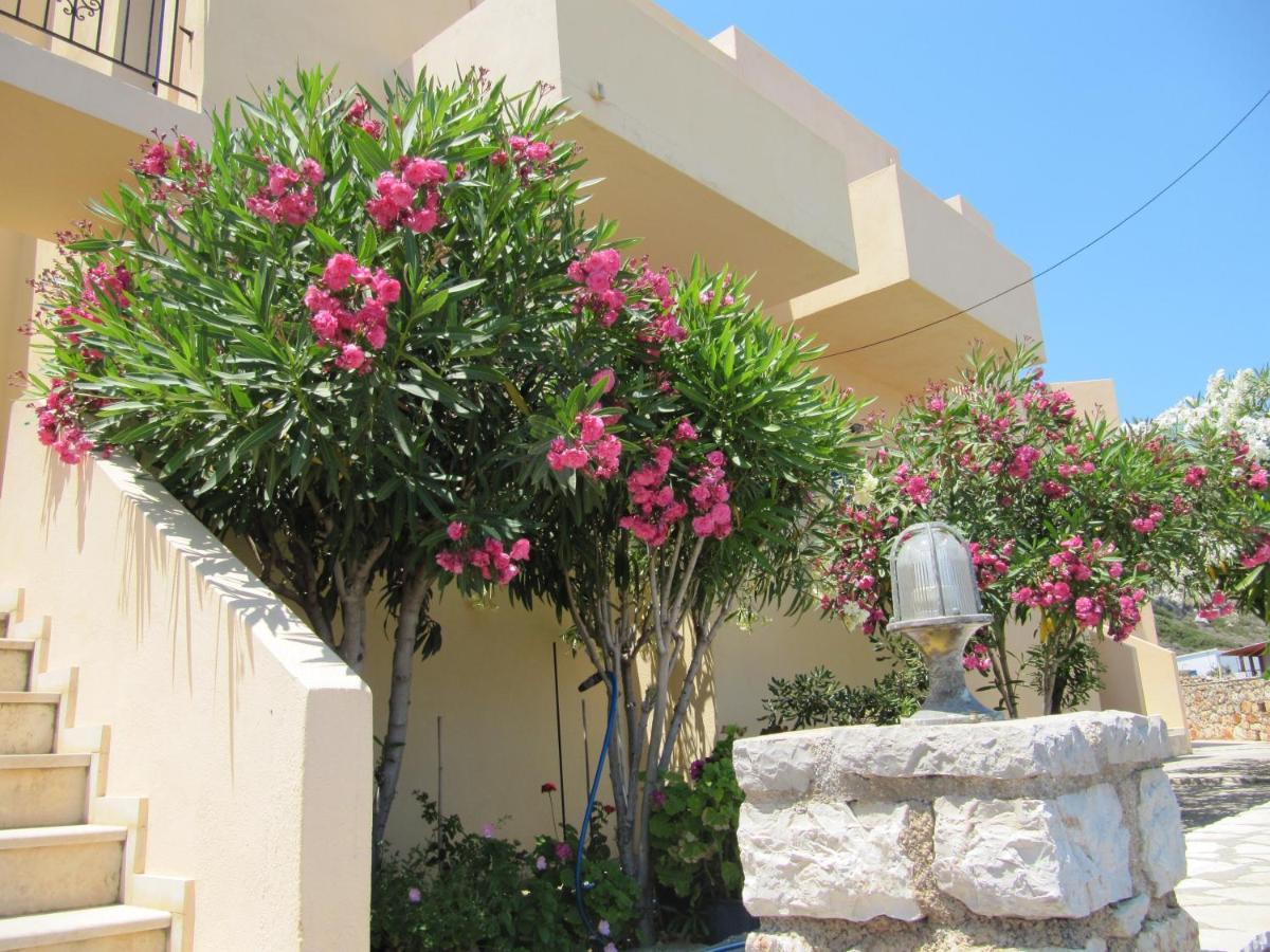 Eugenia Travasarou Sea View Appartments Diakofti Exterior photo